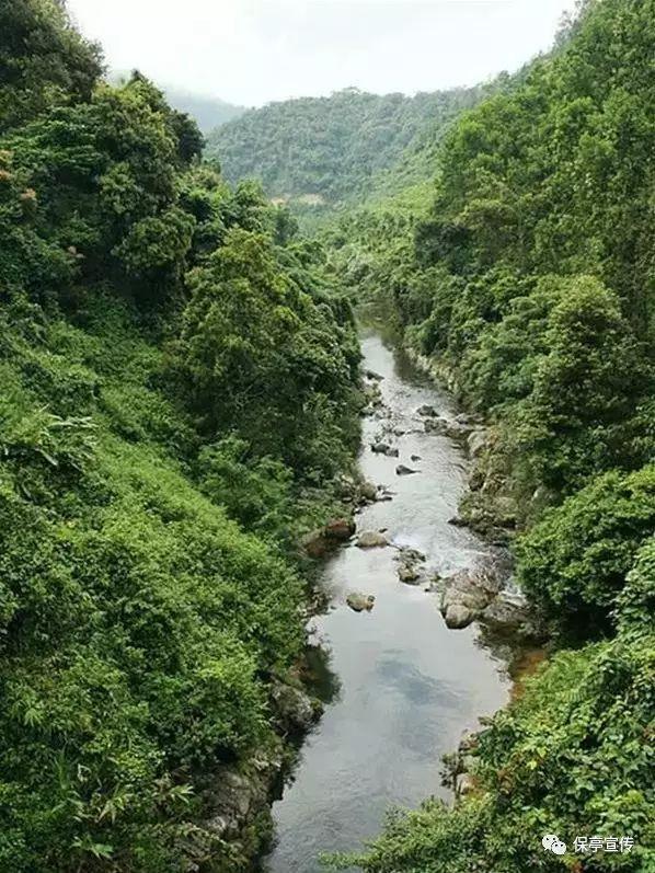 无棣县埕口镇：春联送进村 祝福暖民心